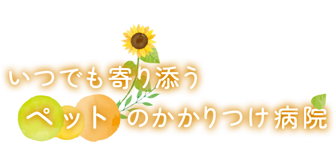 動物さんも飼い主様も幸せに暮らすためのお手伝いをしたいと考えています。